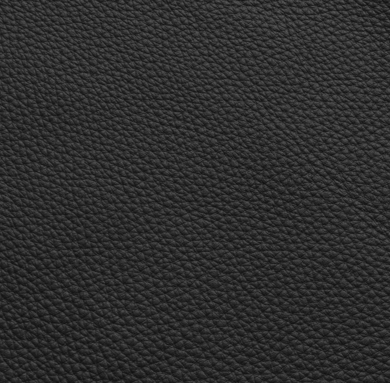 Livingstone Mamba.jpg