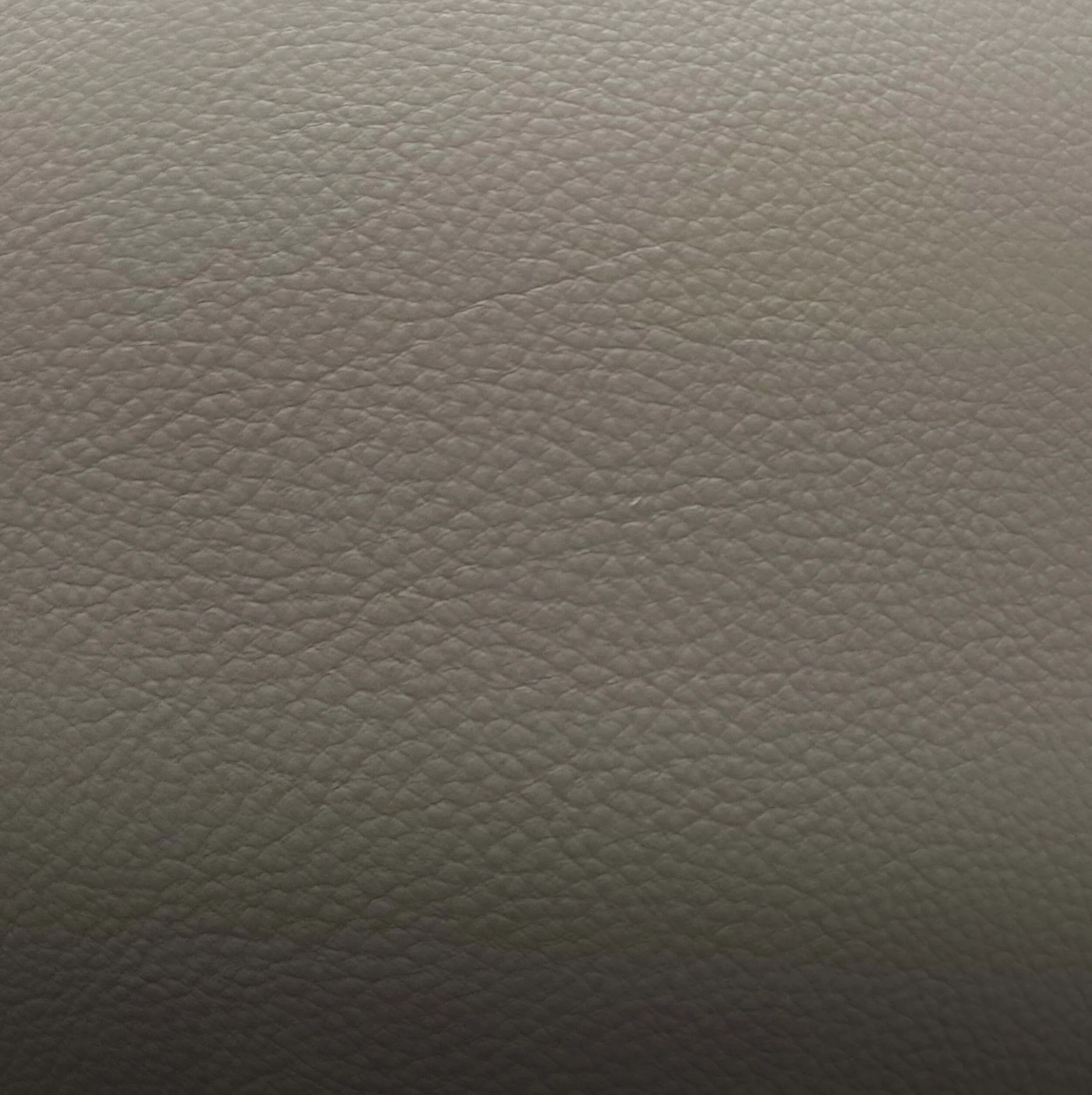 Livingstone EwoLE.jpg