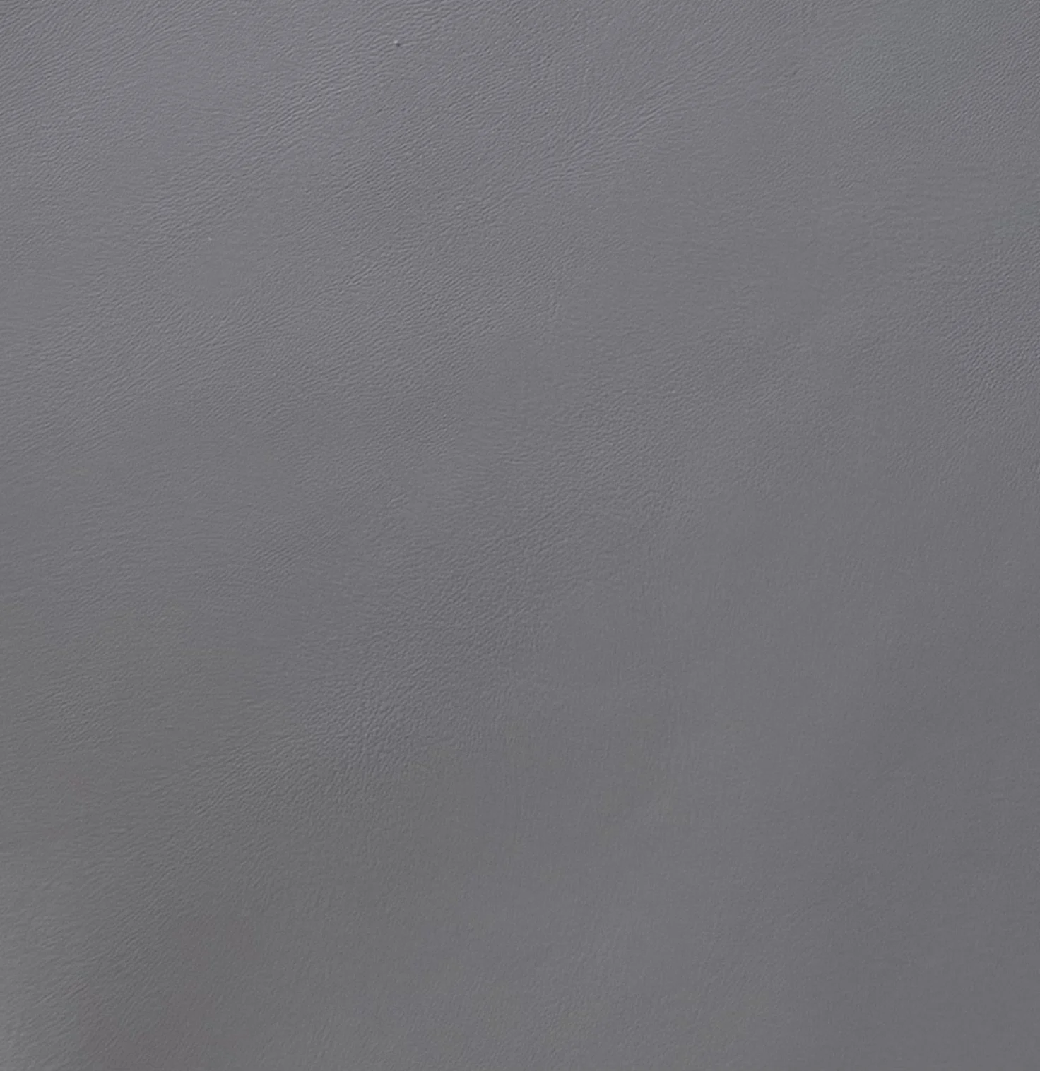 Zeppelin Moby Dick.jpeg