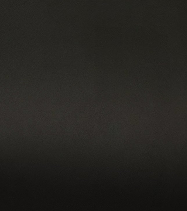 Zeppelin Shadow LE.jpg