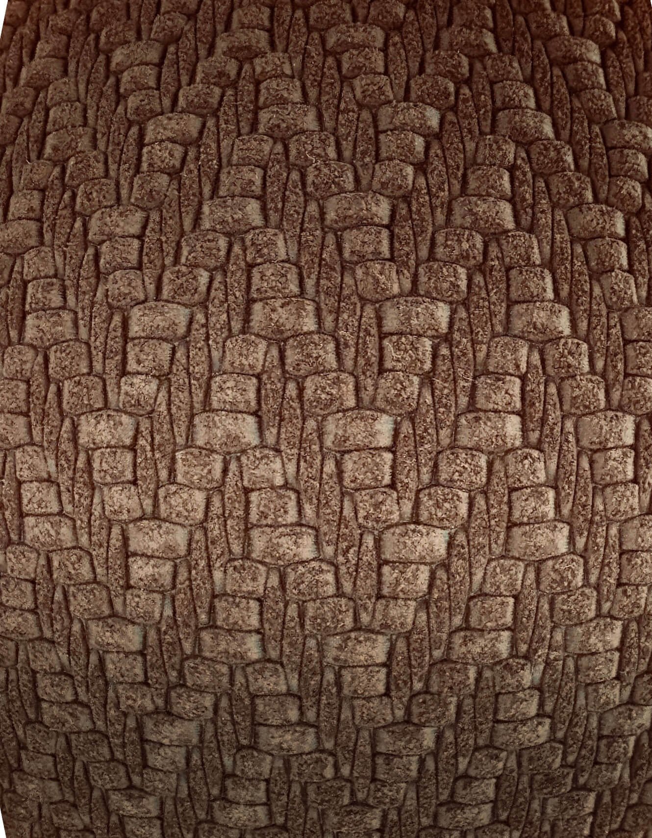 SS Chestnut F LE 2 Tiny.jpg