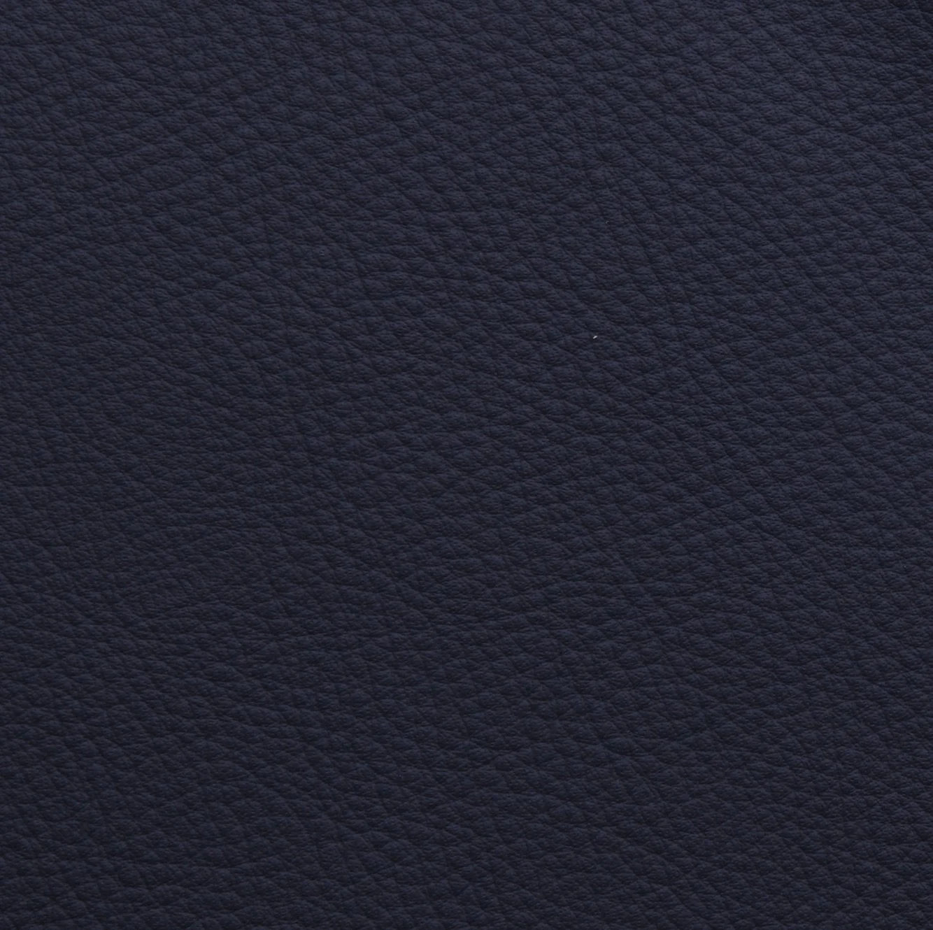 Livingstone Tanganyika.JPG