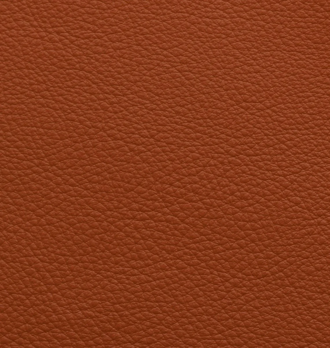 Colours of Livingstone