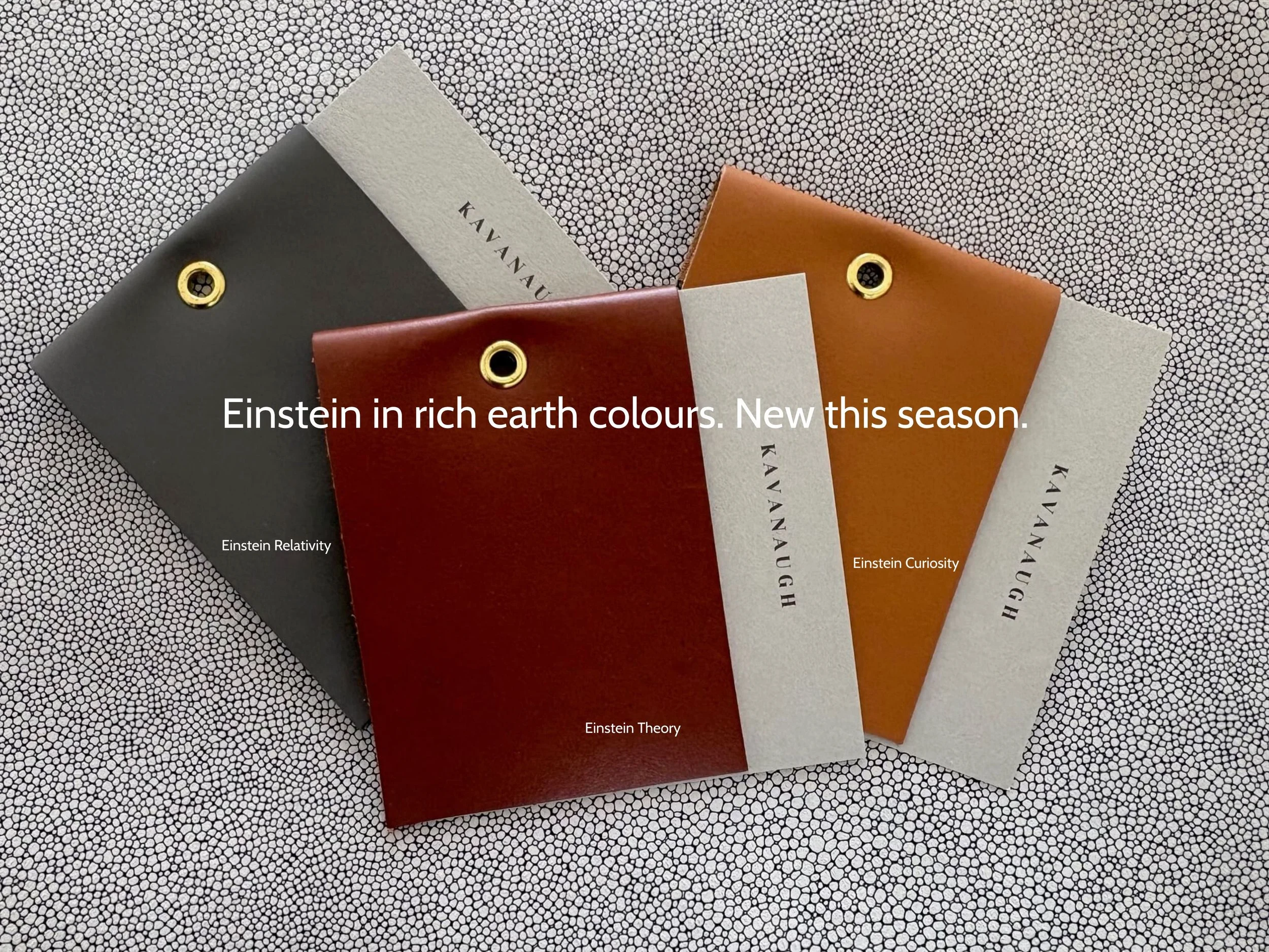 Einstein Earth Colours 2.jpg