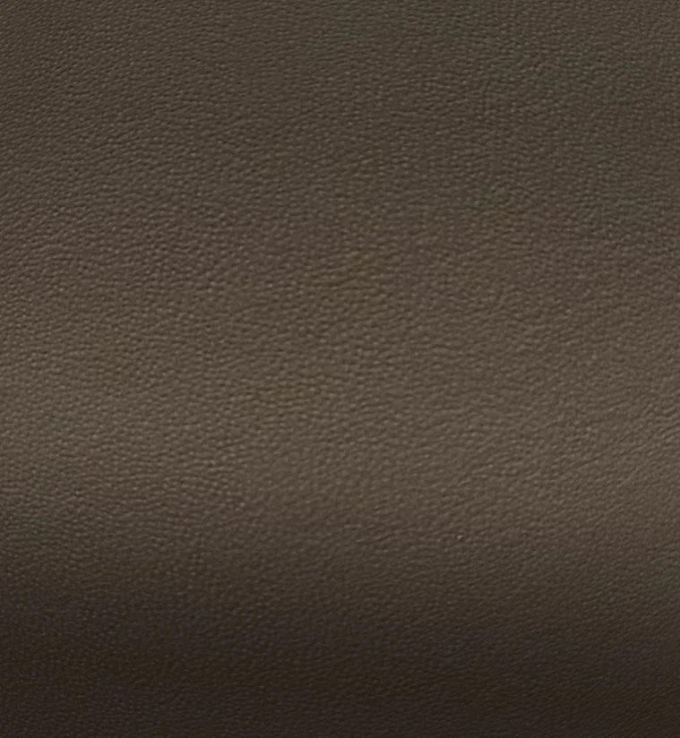 Zepplein Echo LE.jpg