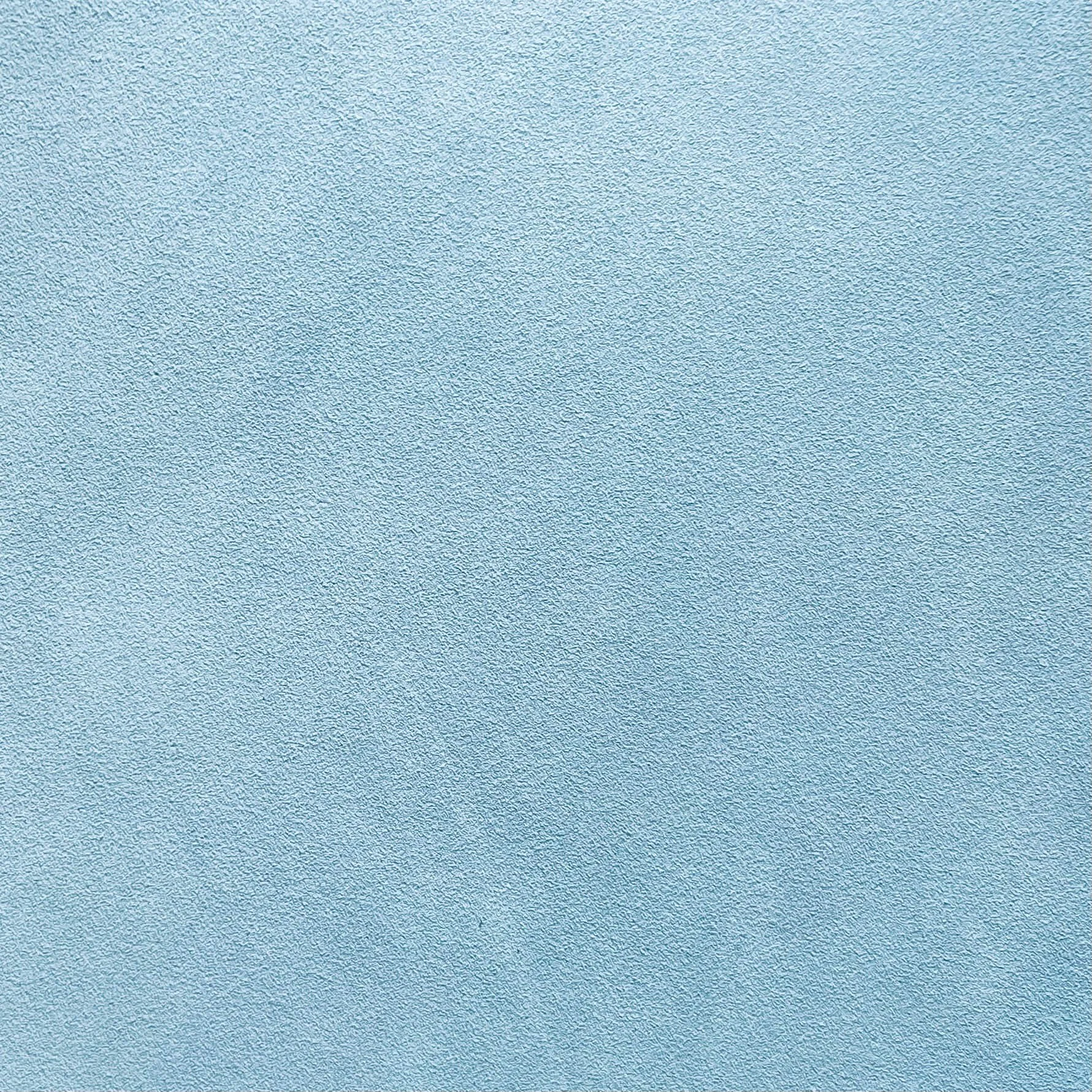 Hydrangea.jpeg