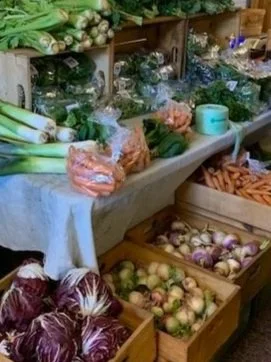 Winter Market