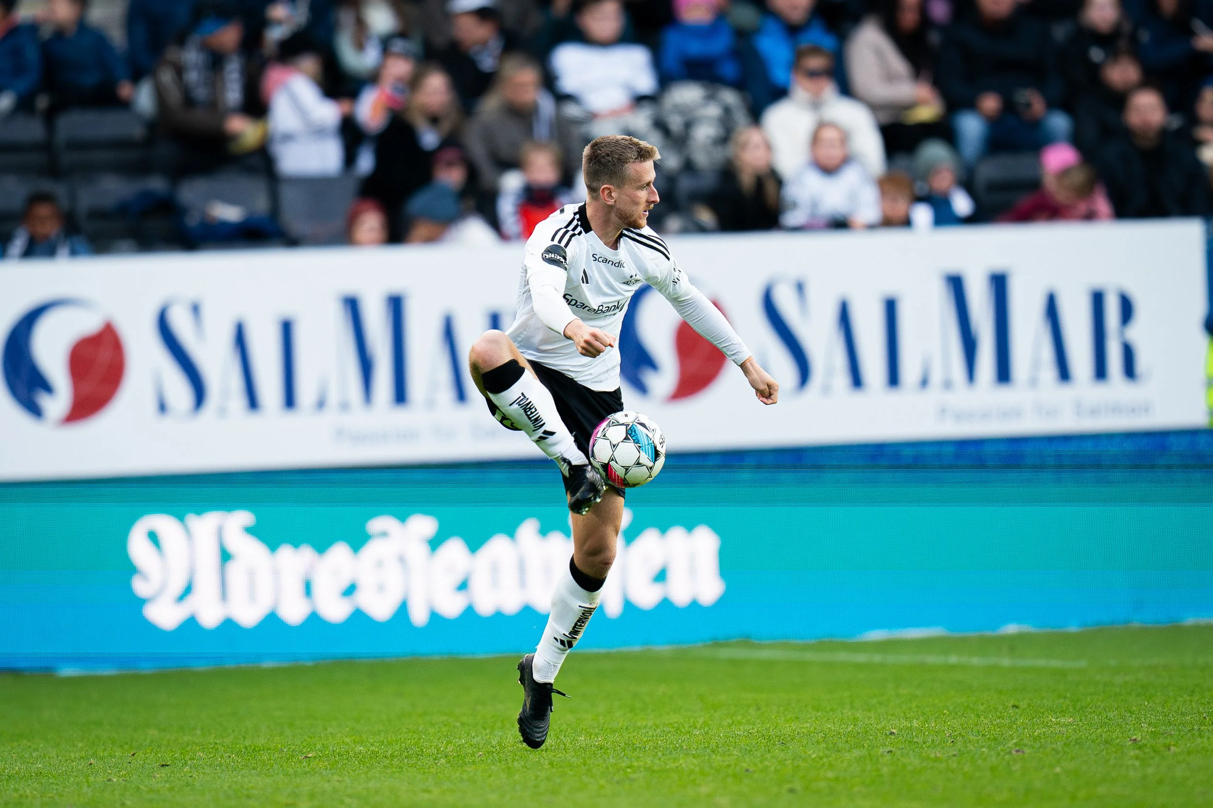 AdamsMedia (103).jpg