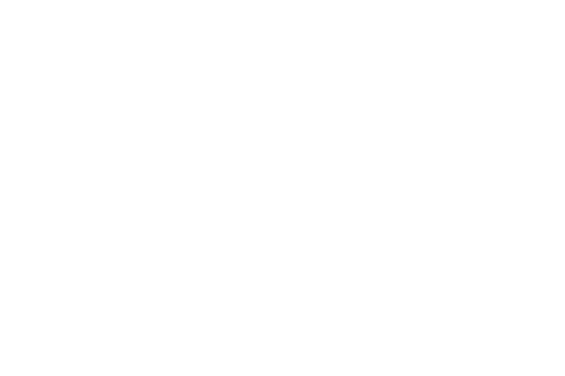 charlie & nancy hartness.png