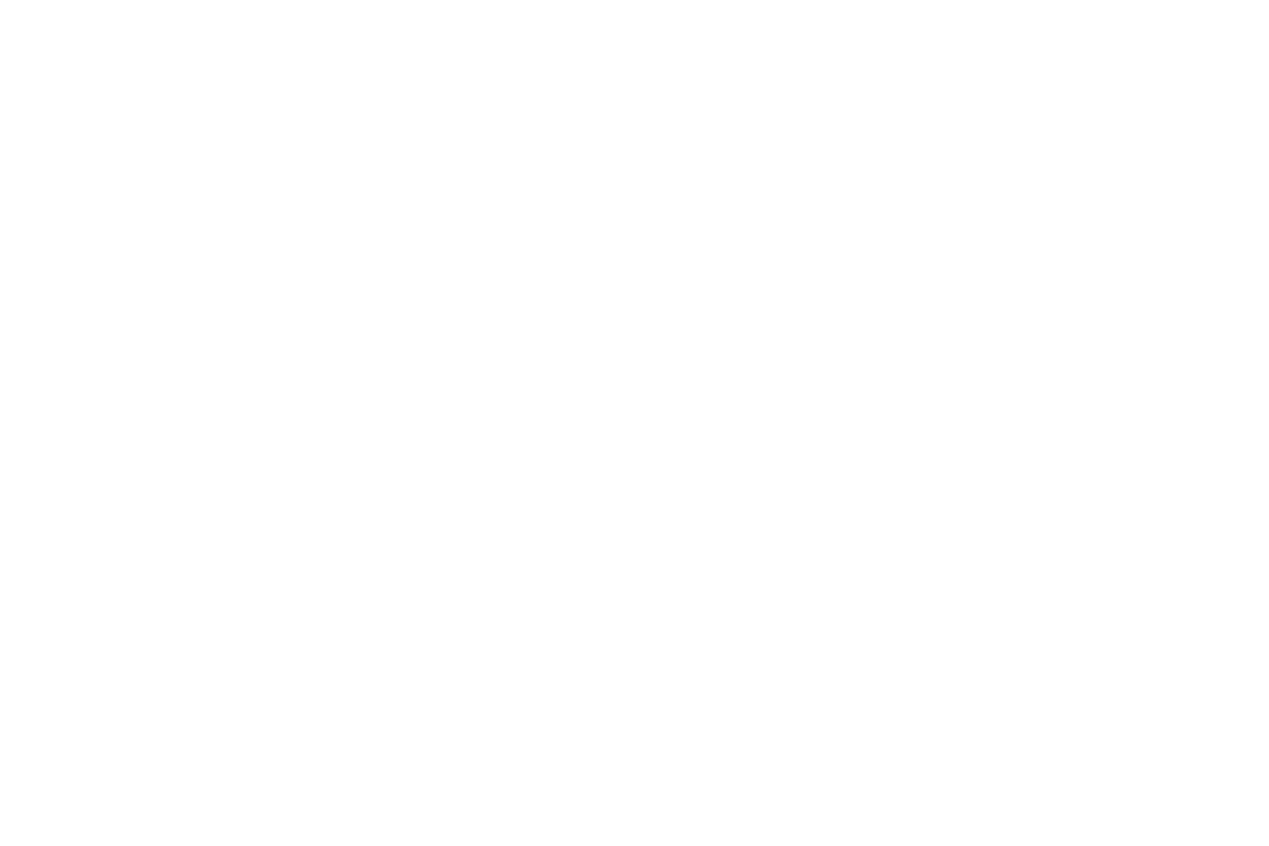 hugh kaul.png
