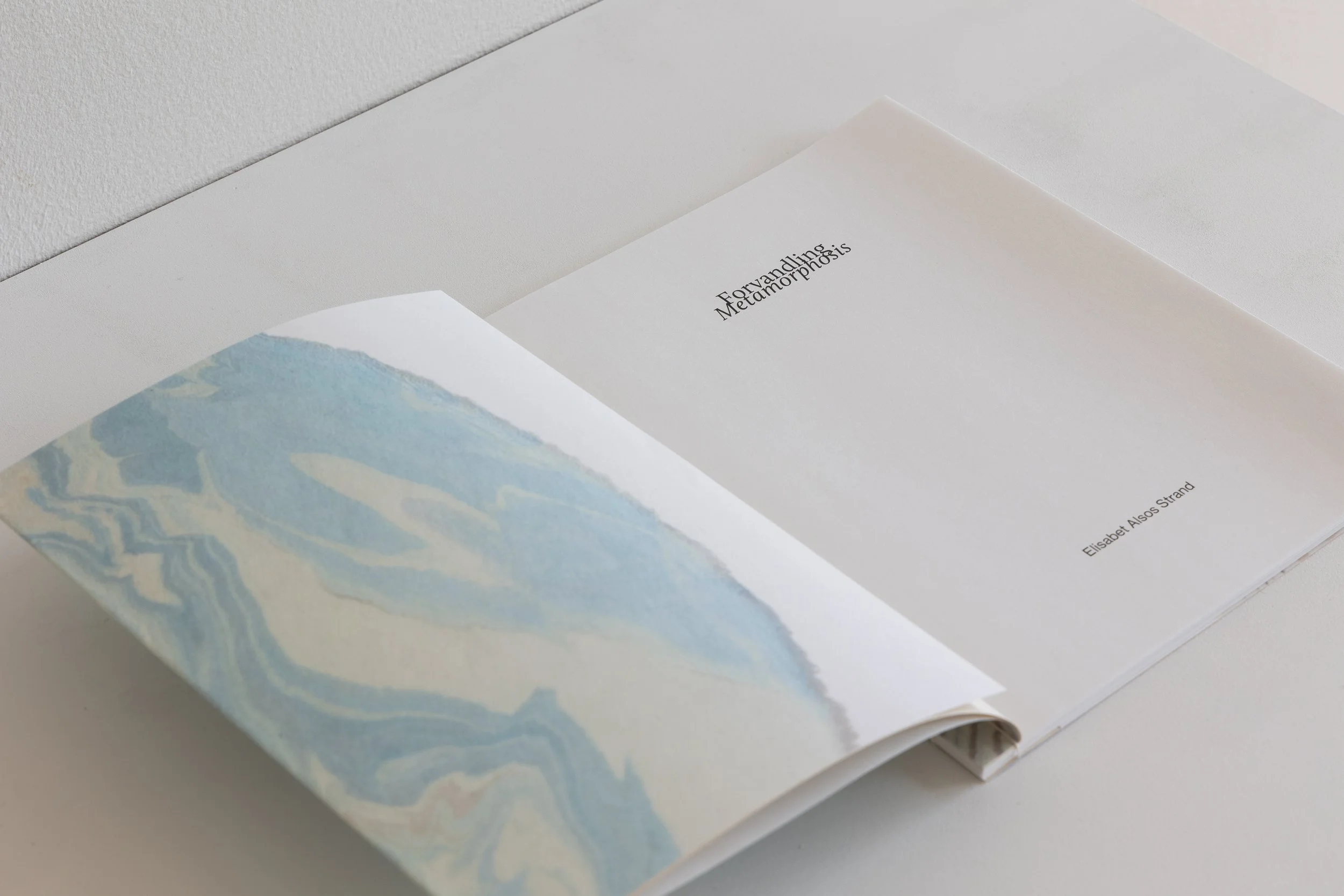 ForvandlingMetamorphosis- artists book. Offset print 100 ex. Hand bound.