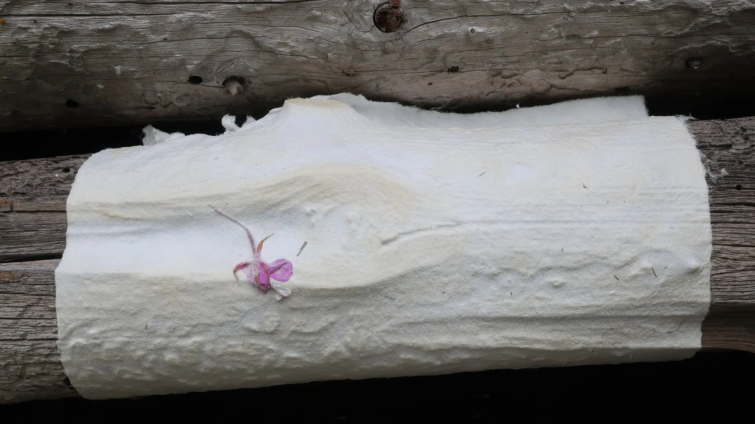 Paper cast on old log, OUR AIR Finland Photo artist 2022