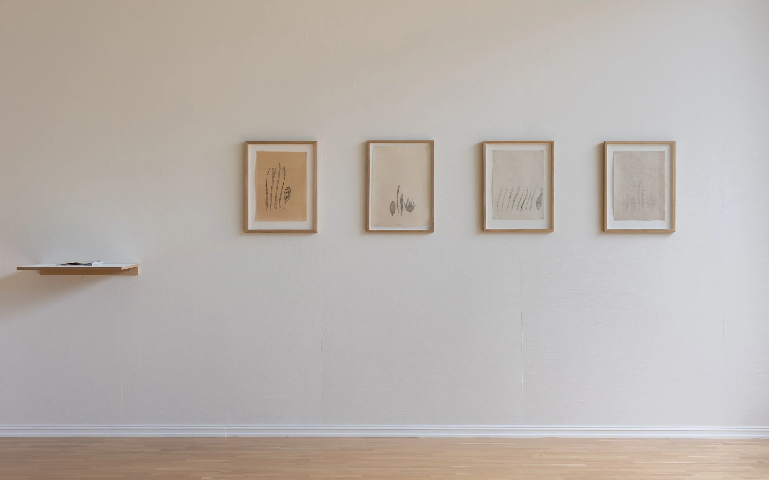 The series Enlargements/Forstørrelser. Tresnitt/ woodblock print