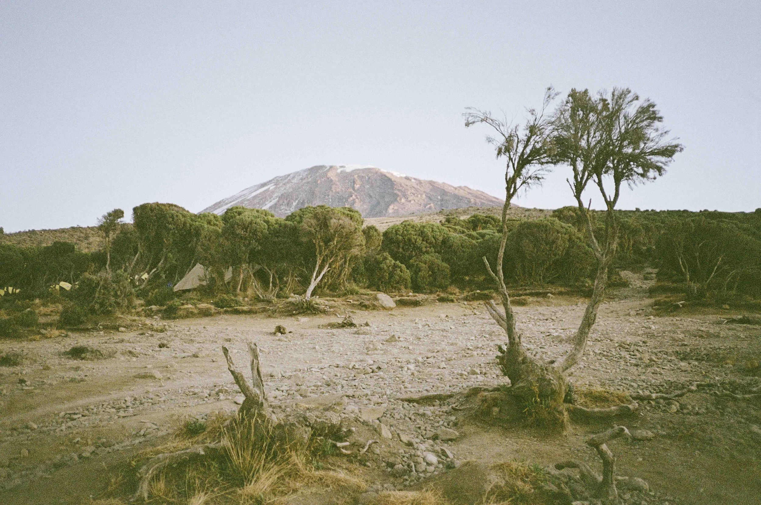 ALW_2025_Superskilled_Kilimanjaro-1.jpg