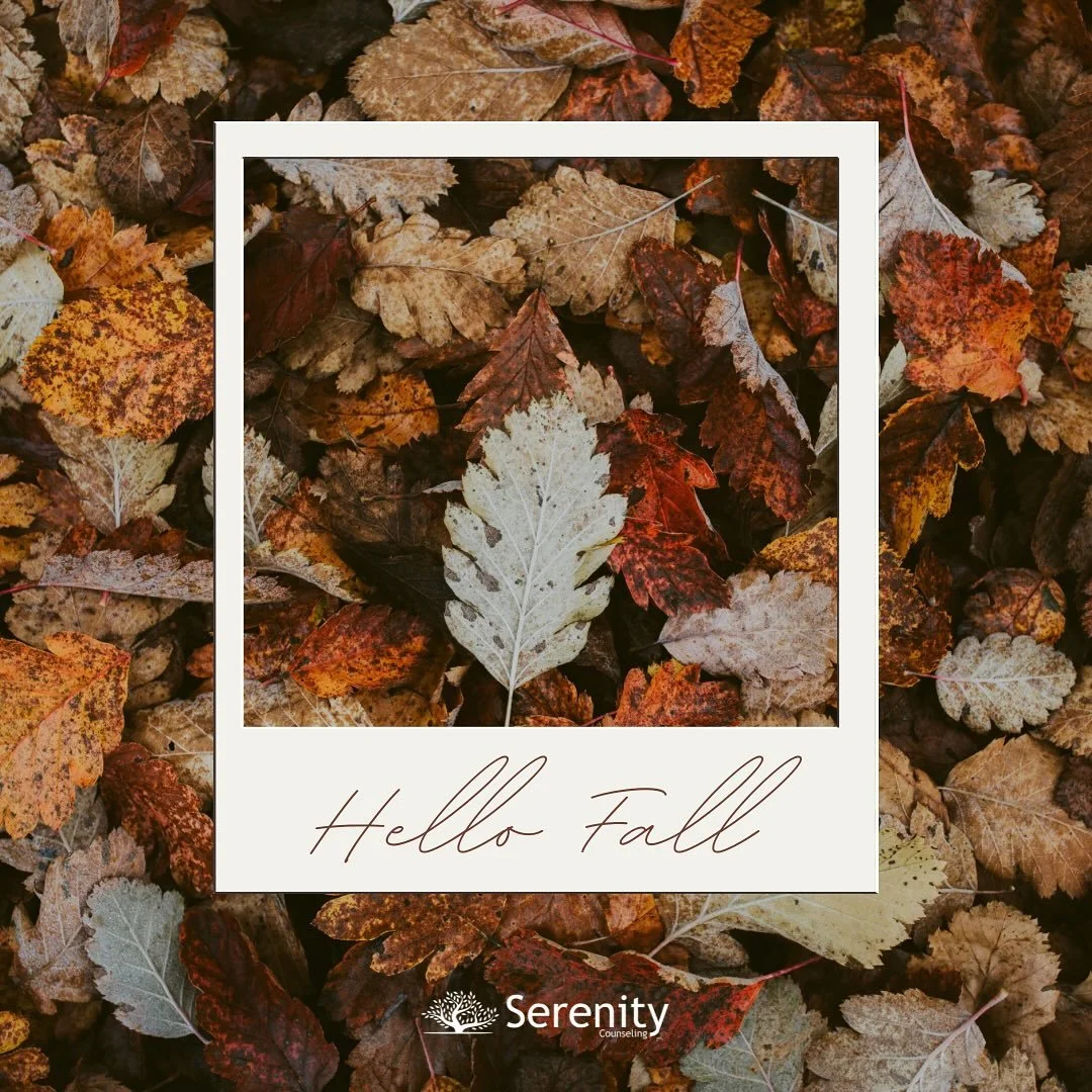 🍂As the trees shed their leaves, may you shed stress, self-doubt, and the weight you don&rsquo;t need to carry🍂