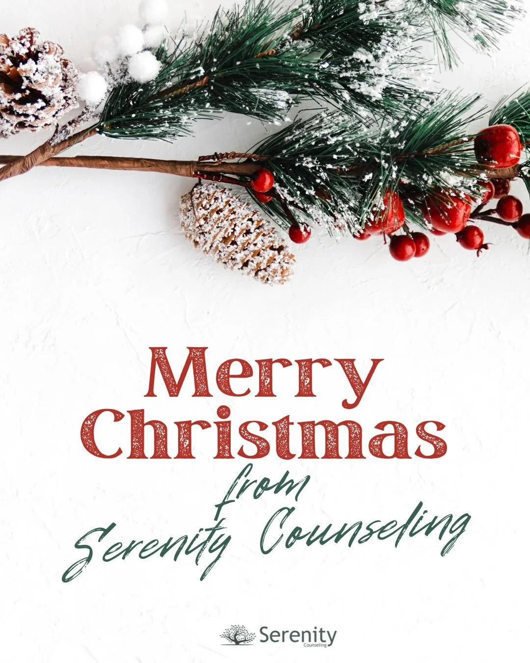 Merry Christmas from Serenity Counseling ❤️🎄

Swipe for a surprise 🎅🏻