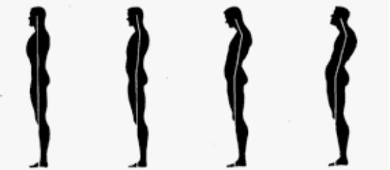 Stand Tall, Breathe Deep: How Posture Affects Your Core &amp; Confidence