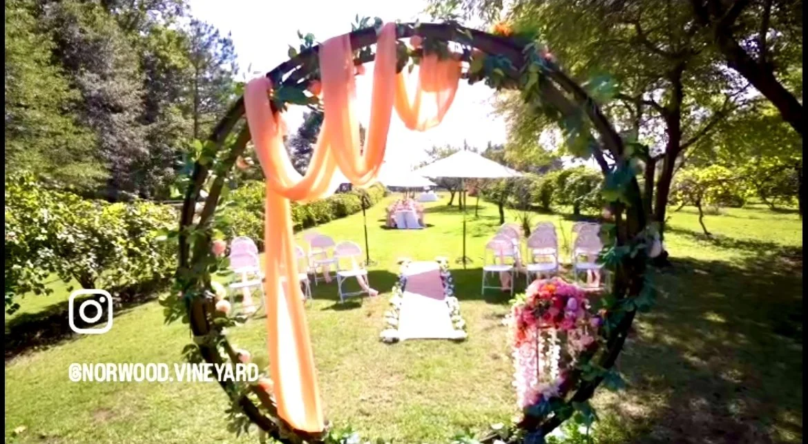 Peach Vineyard Wedding Decor.jpeg