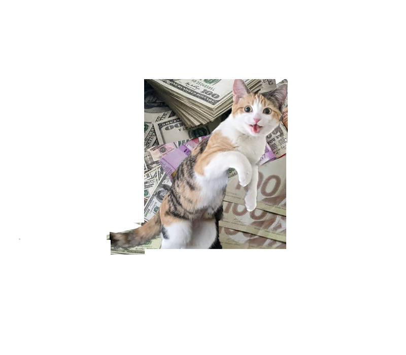 How to get gigs as a FREELANCER!💸 