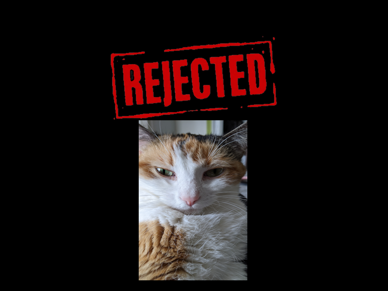 💔Overcoming Rejection💔