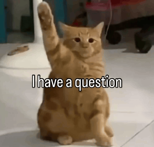 Answering YOUR questions (Part1)