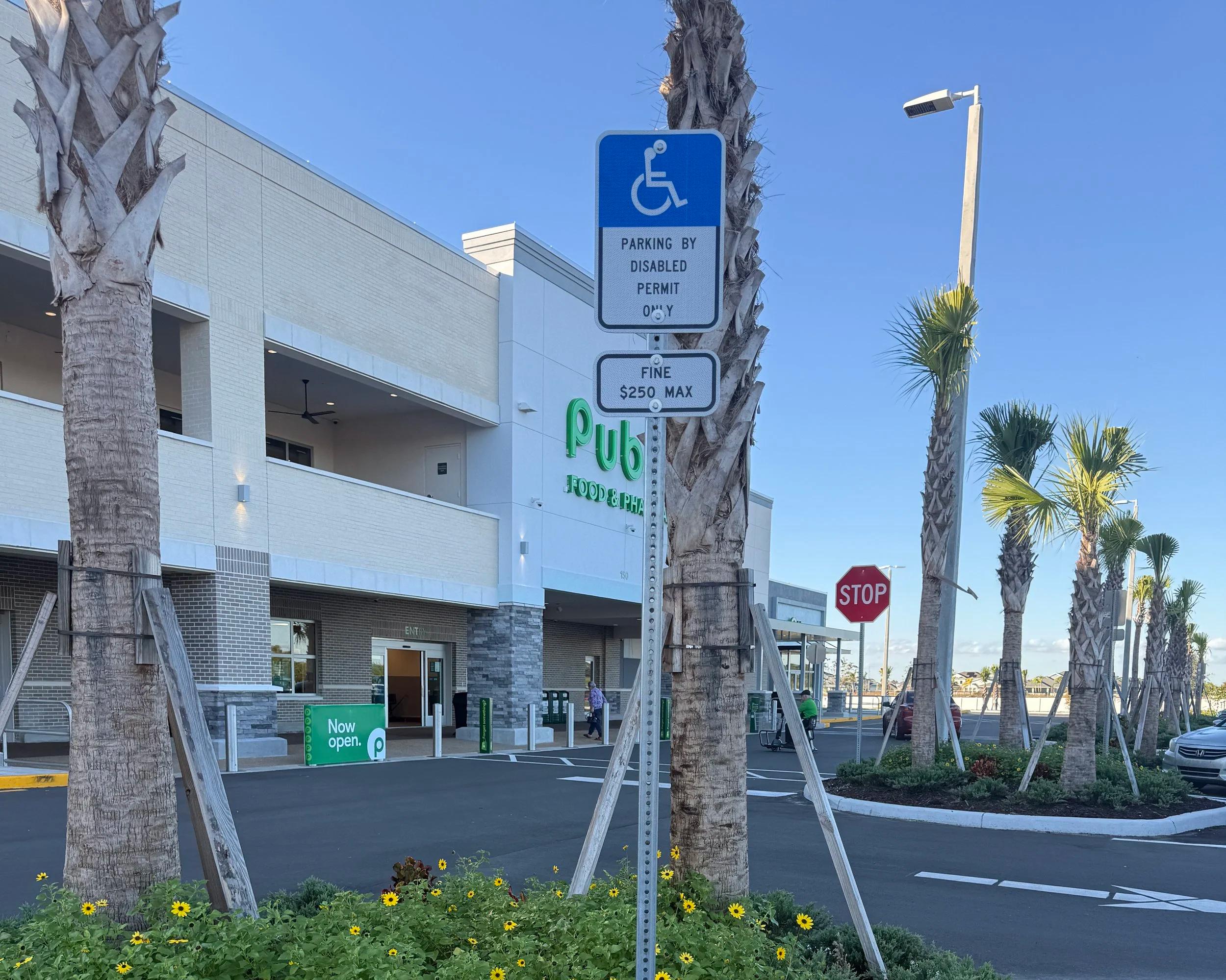 A parking lot with a sign indicating accessible parking for disabled individuals, a building with a food and pharmacy store, palm trees lining the parking area, and a blue sky overhead.