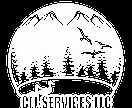 CLL SERVICES INC