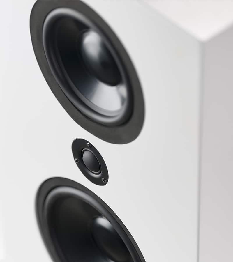 Lyngdorf FR-1 Speaker