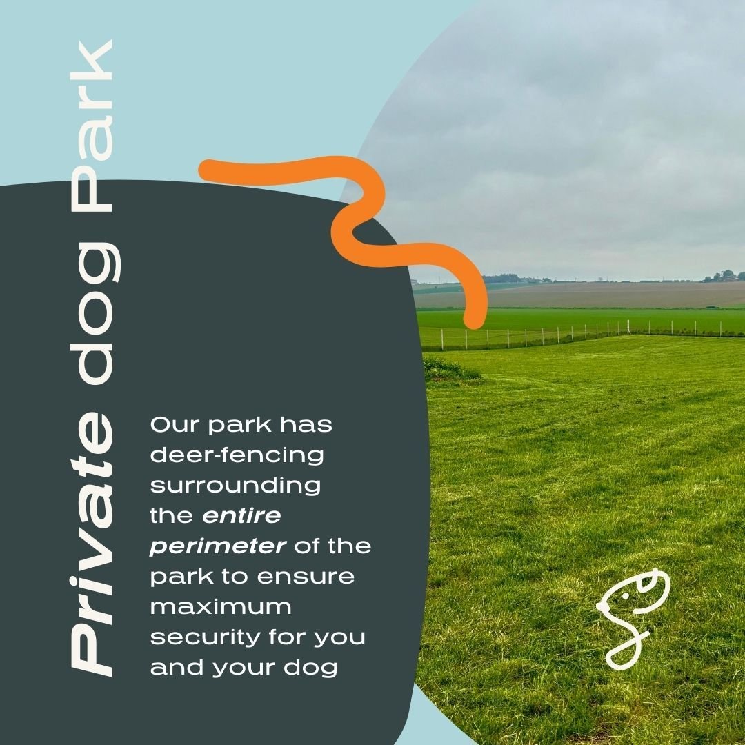 Safety first at Seek! Our park is surrounded by deer-proof fencing to ensure your furry friends can play in a secure and safe environment (and no deer can get in...)

#SafeAndSound #SecurePlay #DogParkSafety