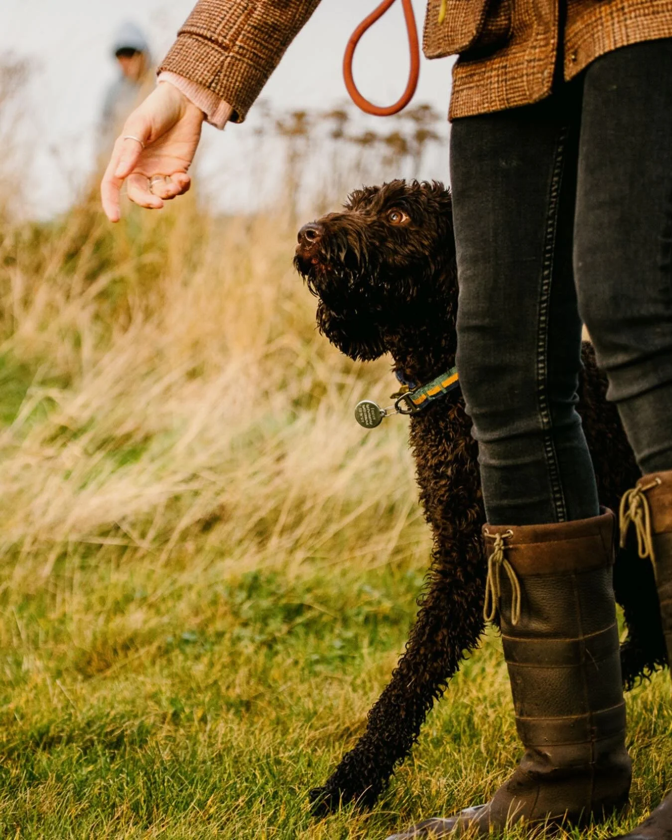 Looking for a quiet space to practice training without distractions? Seek is the perfect spot.

#dogtraining #quietspace #EastLothianDogs #trainhappy