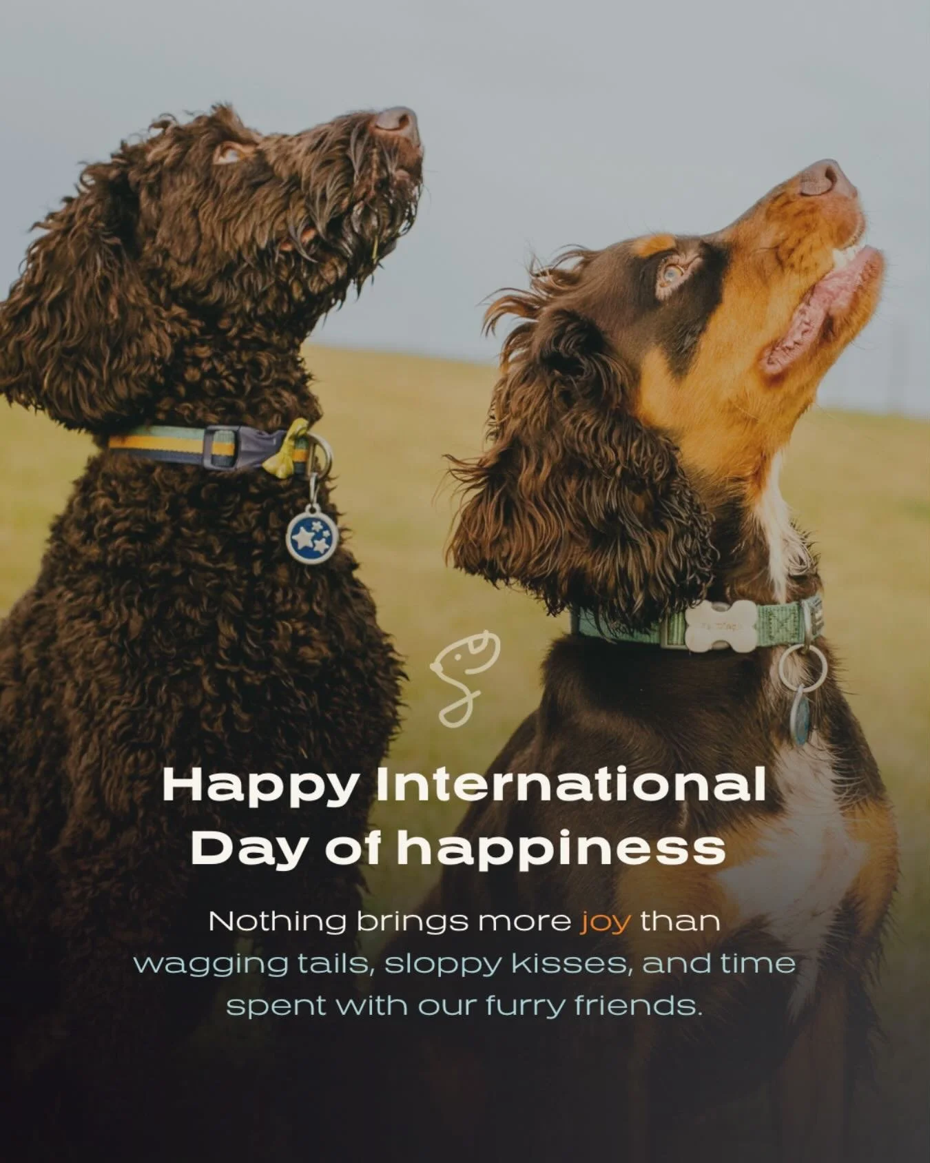 Happy International Day of Happiness! 😄🐾

Nothing brings more joy than wagging tails, sloppy kisses, and time spent with our furry friends.

Book a session at our secure dog park today!