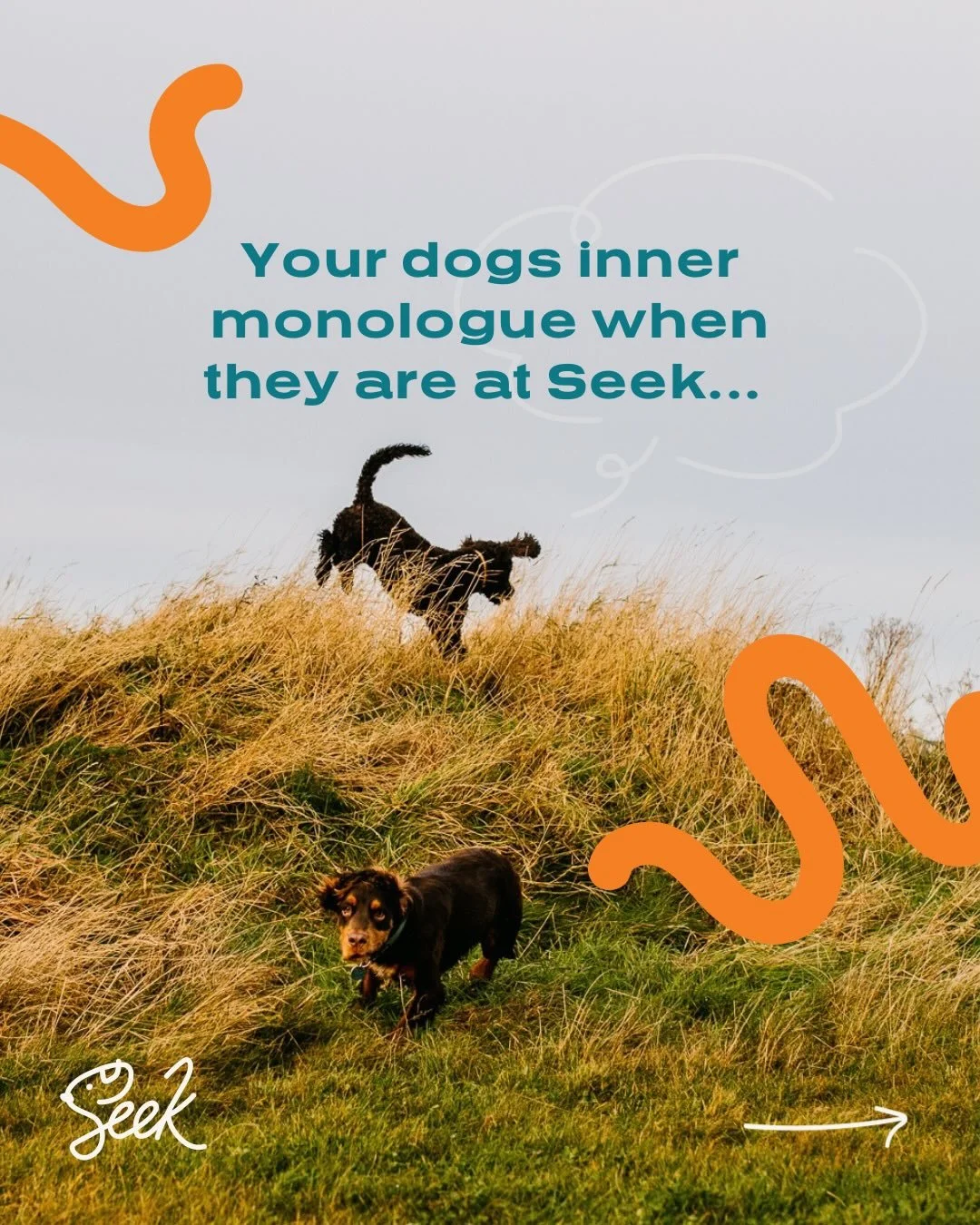 Your dogs inner monologue at Seek&hellip;
Sniff, zoom, wag, repeat! 🐾
Just a dog living their best park life &mdash; having so much fun!
Book your session today!