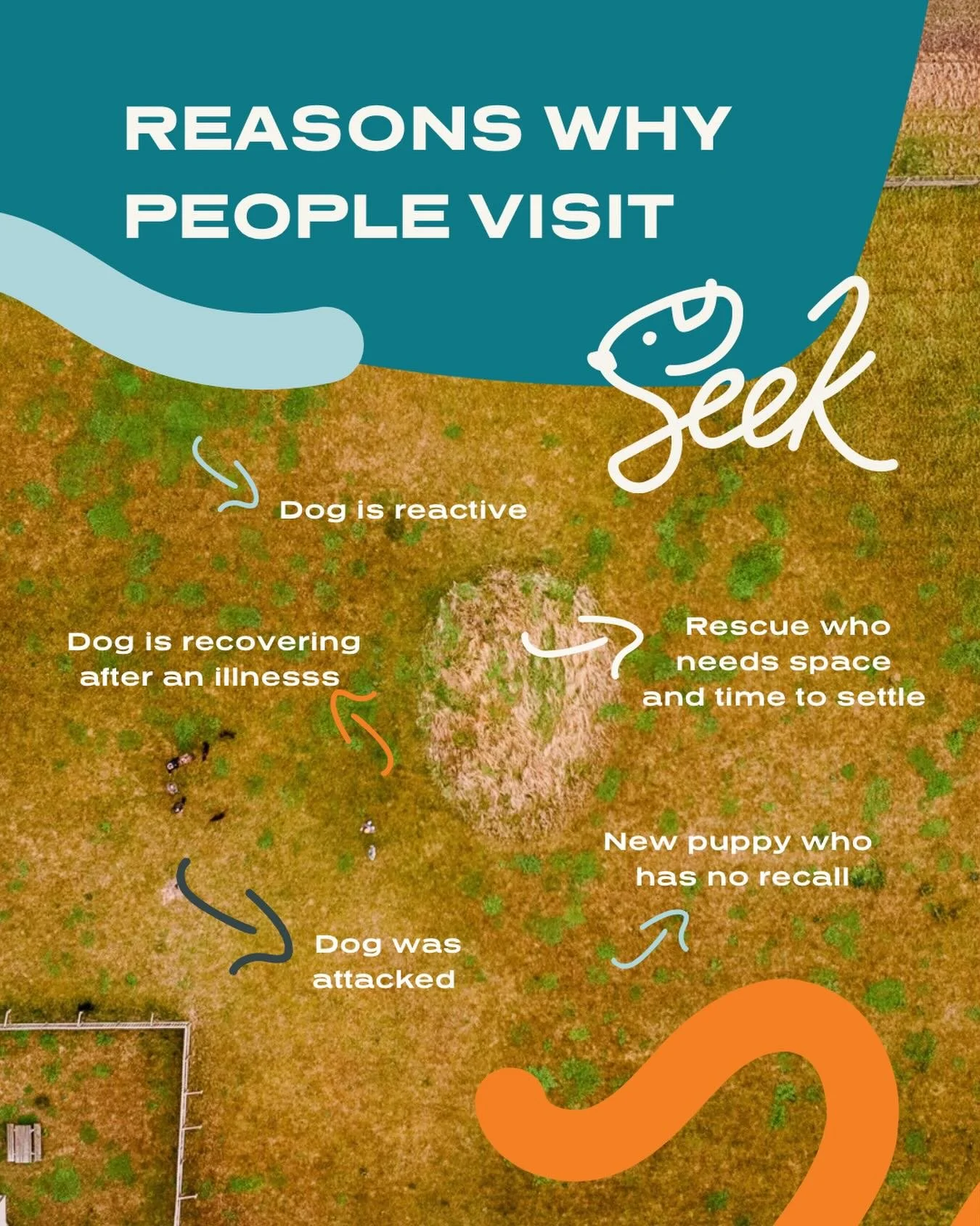 People visit Seek Dog Park for all kinds of reasons 🐾

&bull; Reactive dogs who need space from busy walks
&bull; Dogs recovering from illness or injury who need a calmer environment
&bull; Puppies still learning recall and confidence off lead
&bull