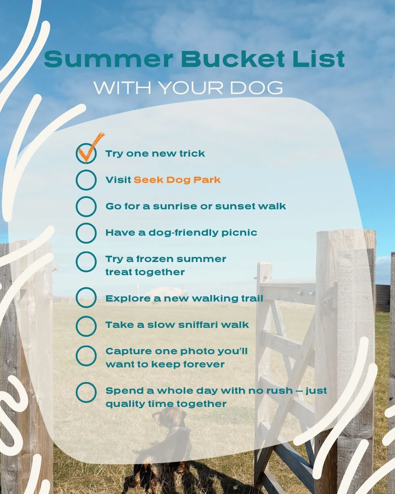☀️ Summer bucket list with your dog 🐾

&bull; Try one new trick
&bull; Visit us at Seek Dog Park
&bull; Go for a sunrise or sunset walk
&bull; Have a dog-friendly picnic
&bull; Try a frozen summer treat together
&bull; Explore a new walking trail
&b