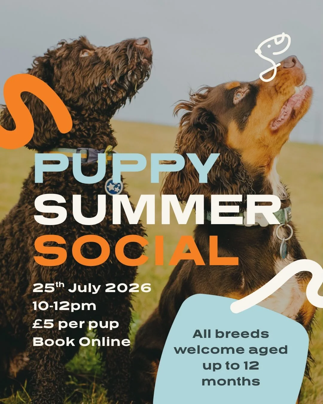 🐾 Puppy Summer Social &ndash; 25th July 🐾 10-12pm

Join us at our secure, enclosed dog park for a fun morning of puppy play, socialisation, and confidence building. Tickets cost &pound;5 per pup and include a free pup cup from the Drift Trailer aft