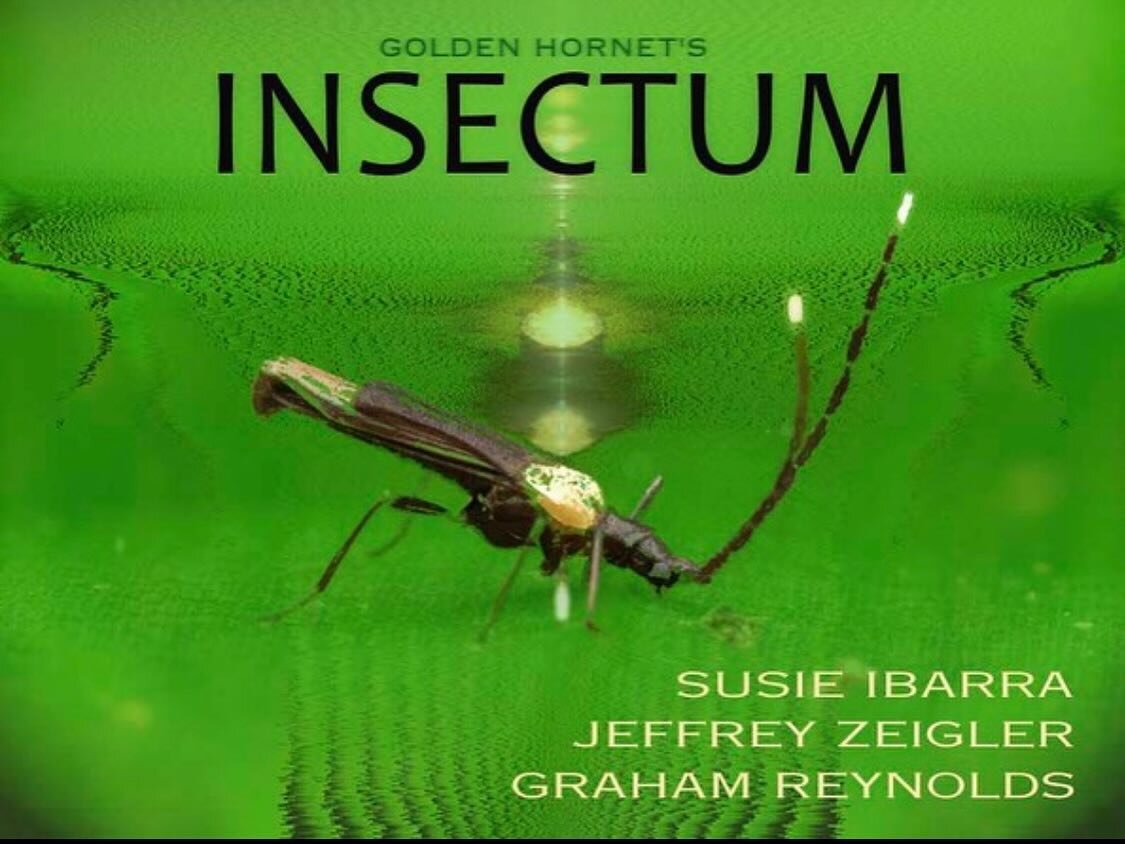 @goldenhornetatx INSECTUM world premiere Mon, Feb 26, 2024 in Brooklyn, NY @nationalsawdust 

This album release show features a live performance by @susie.ibarra @jzcello and @grahamreynoldsmusic There will also be insights from insect expert Jessic