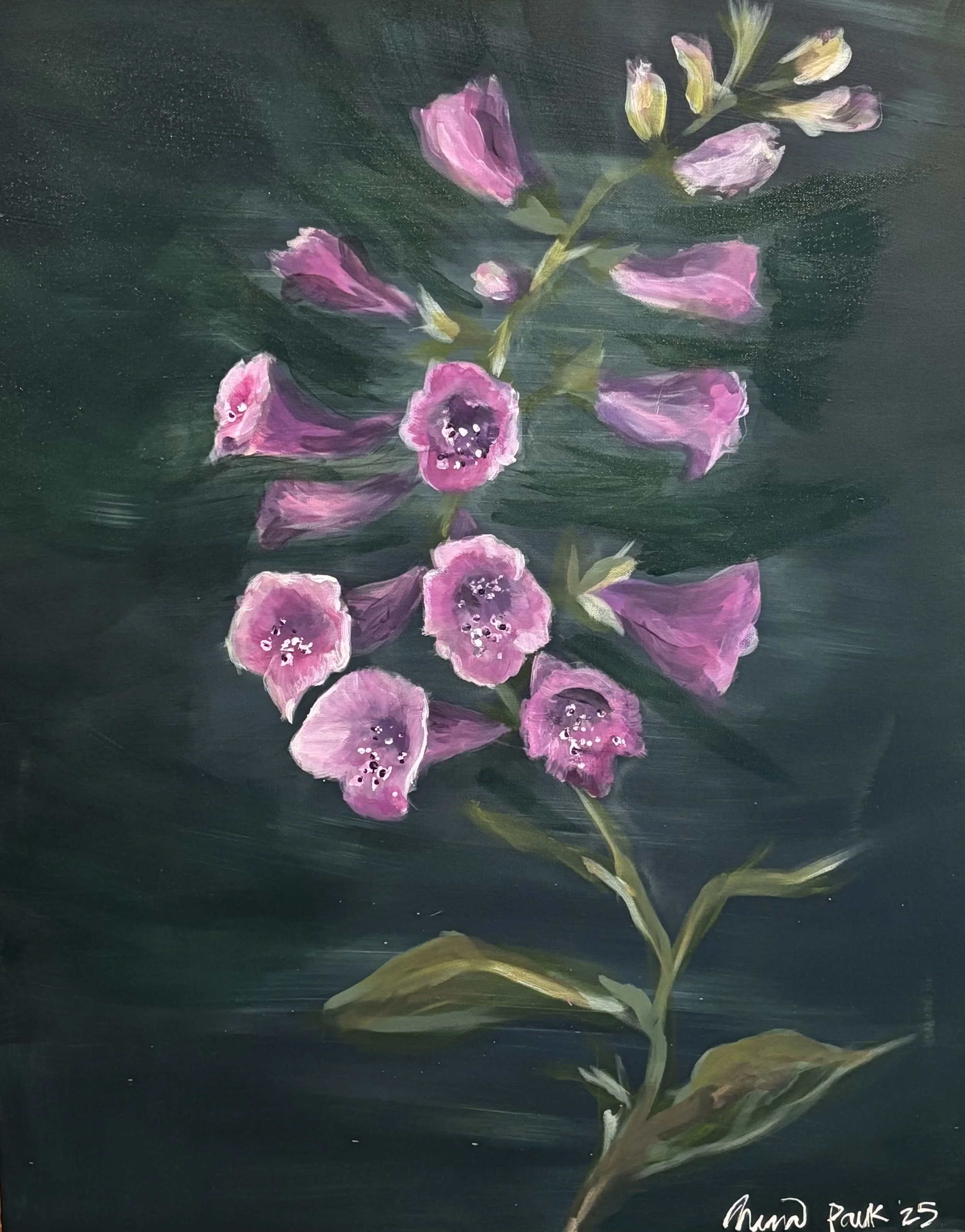 Ghosts of the Garden