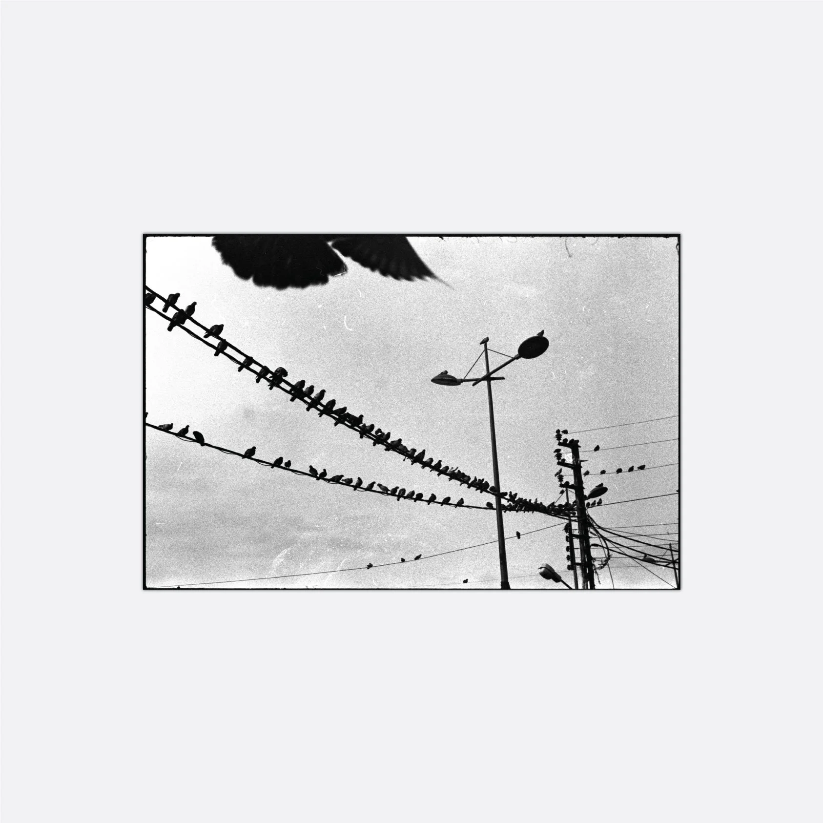 Untitled-1.jpg