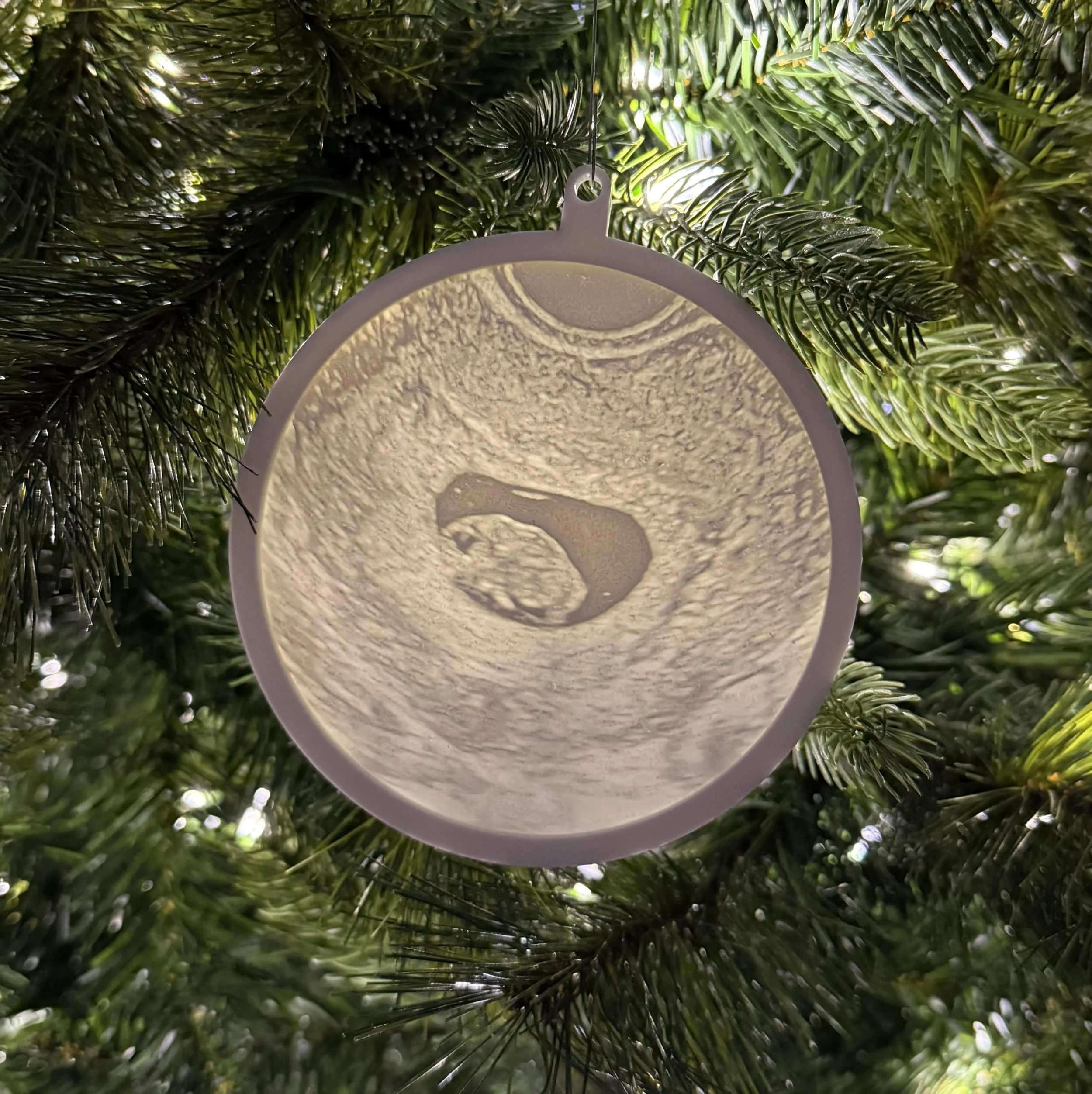 Round Litho Ornament.jpg