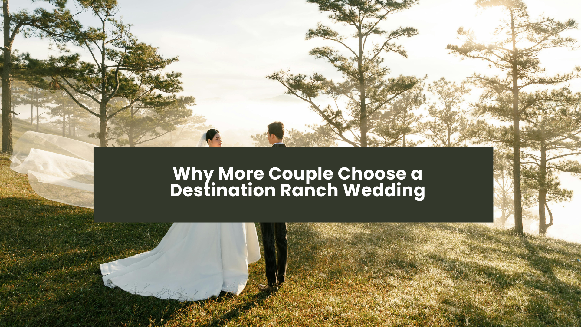 Destination Ranch Wedding vs Ballroom Venue