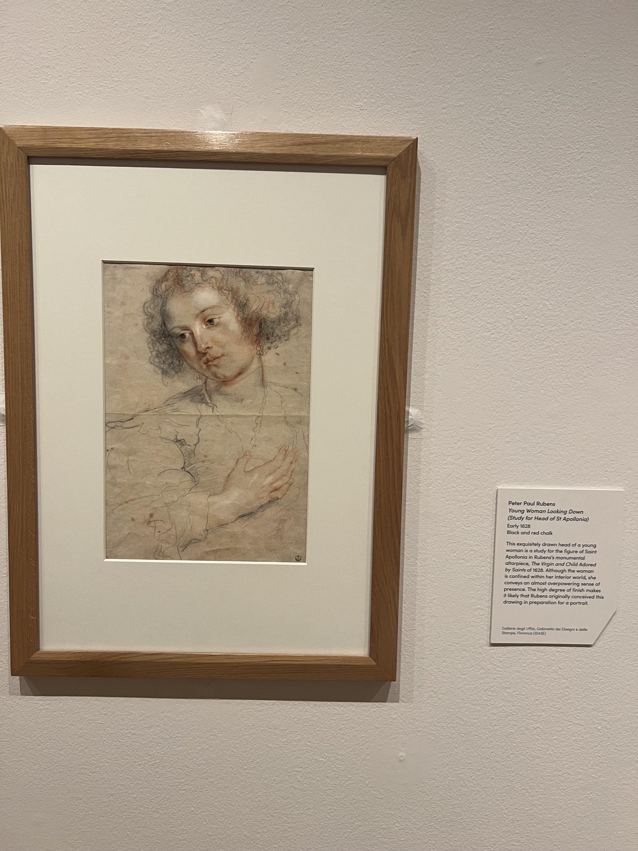 Young Woman Looking Down (Study for Head of St Apollonia) - Peter Paul Rubens
Early 1628
Black and red chalk