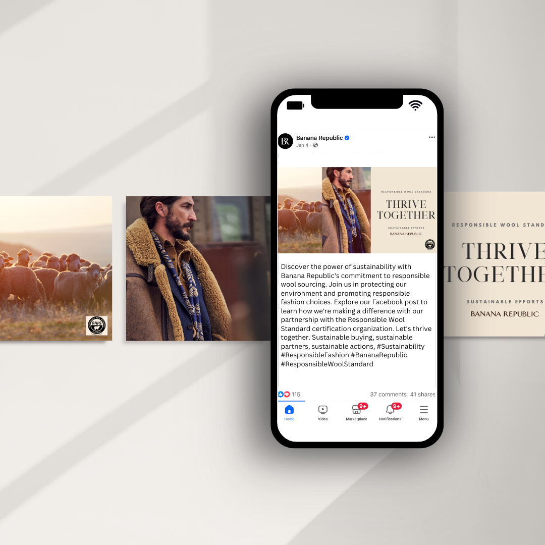 BR- RWS Static Ad.png