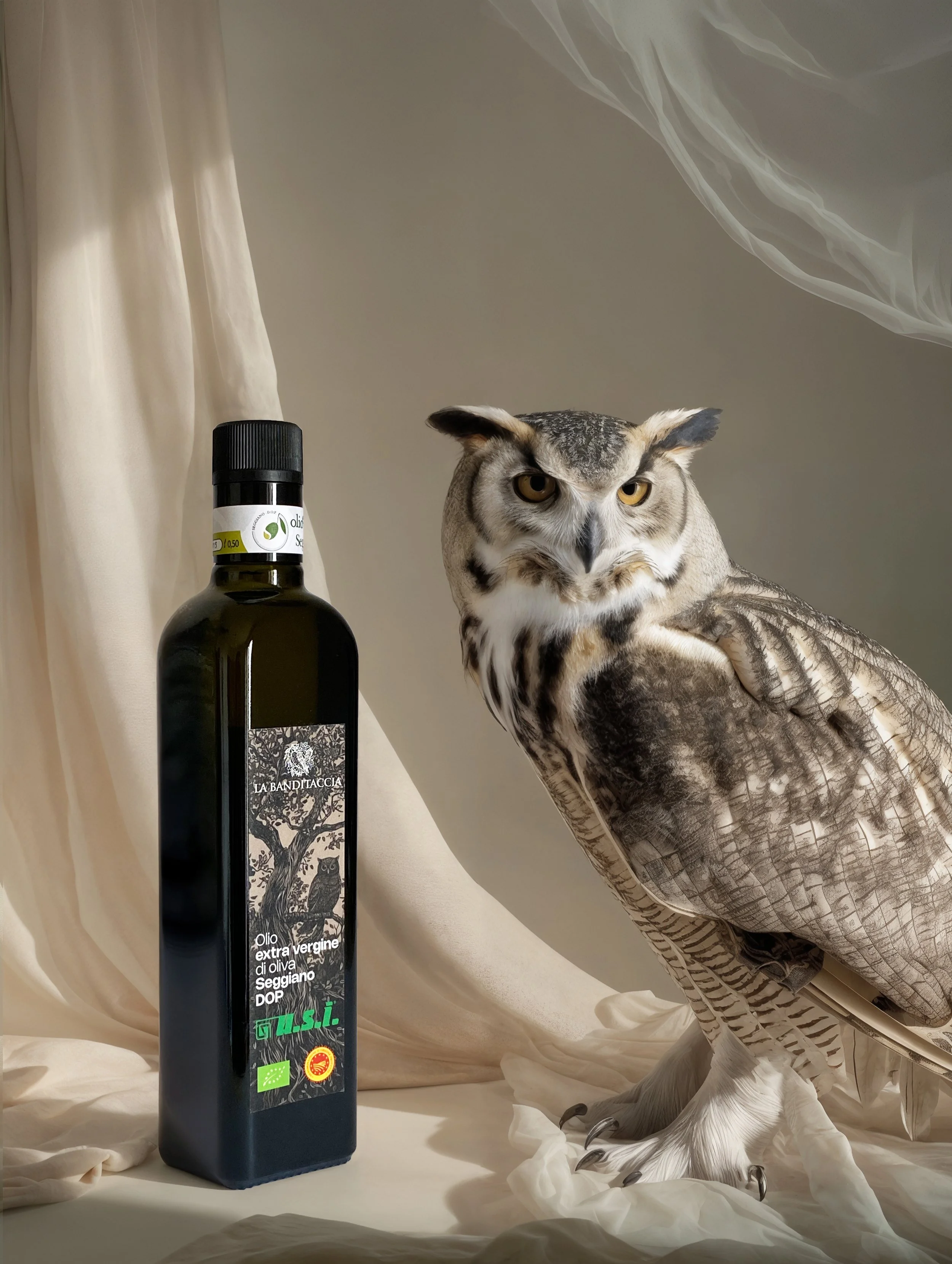 oil-label-project-olive-tree-owl-illustration-graphic-design-extra-vergine-seggiano-dop
