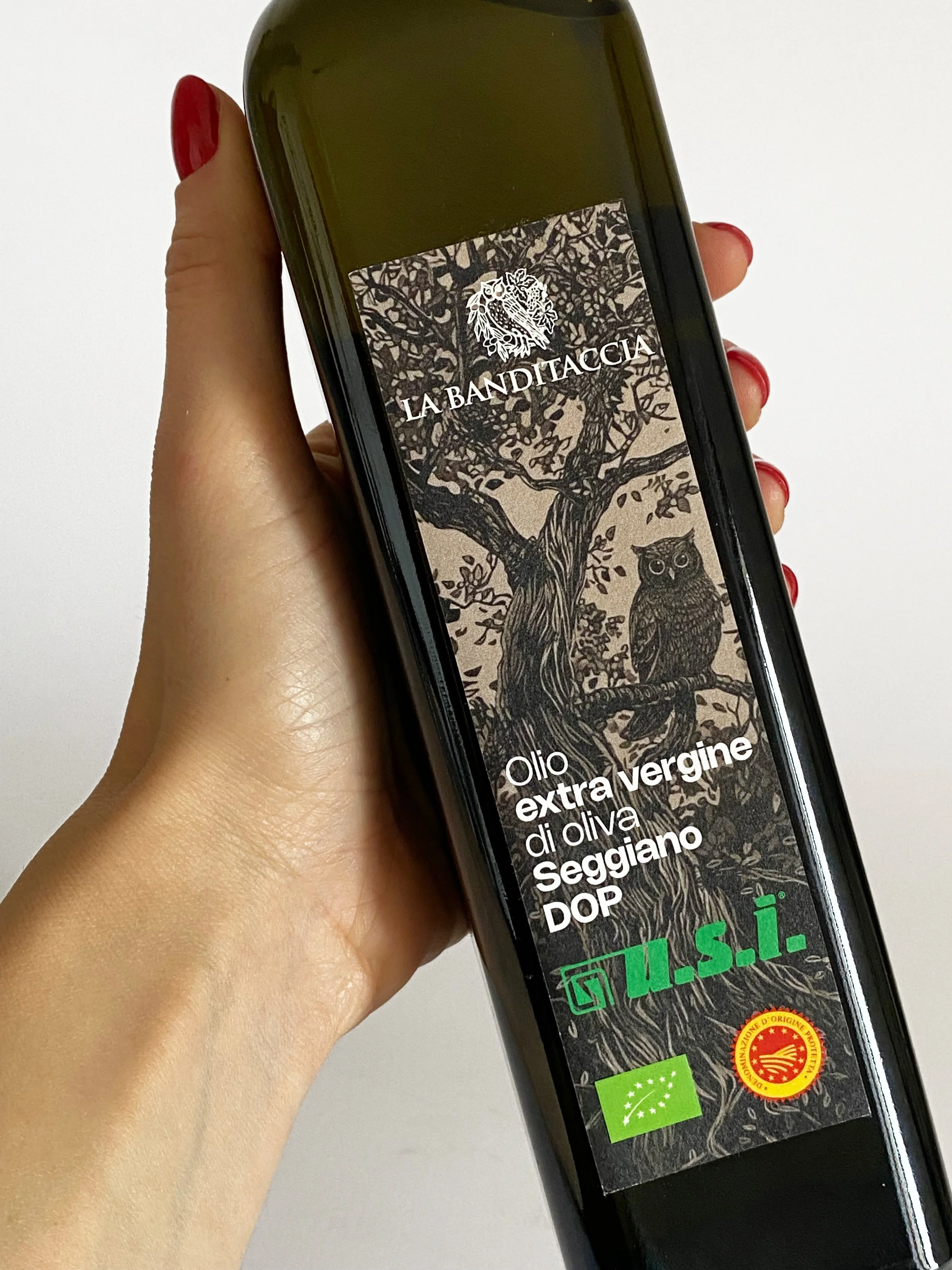 oil-label-project-olive-tree-owl-illustration-graphic-design-extra-vergine-seggiano-dop