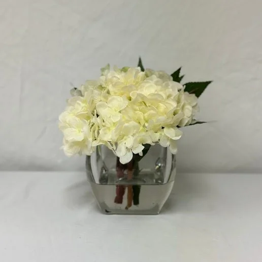 1607 Water Look Hydrangea