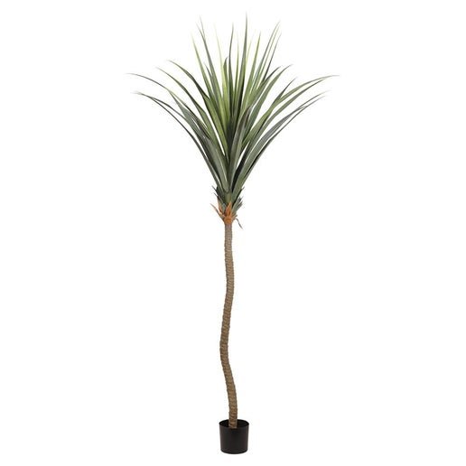LTA117-GR 117" AGAVE TREE IN PLASTIC POT