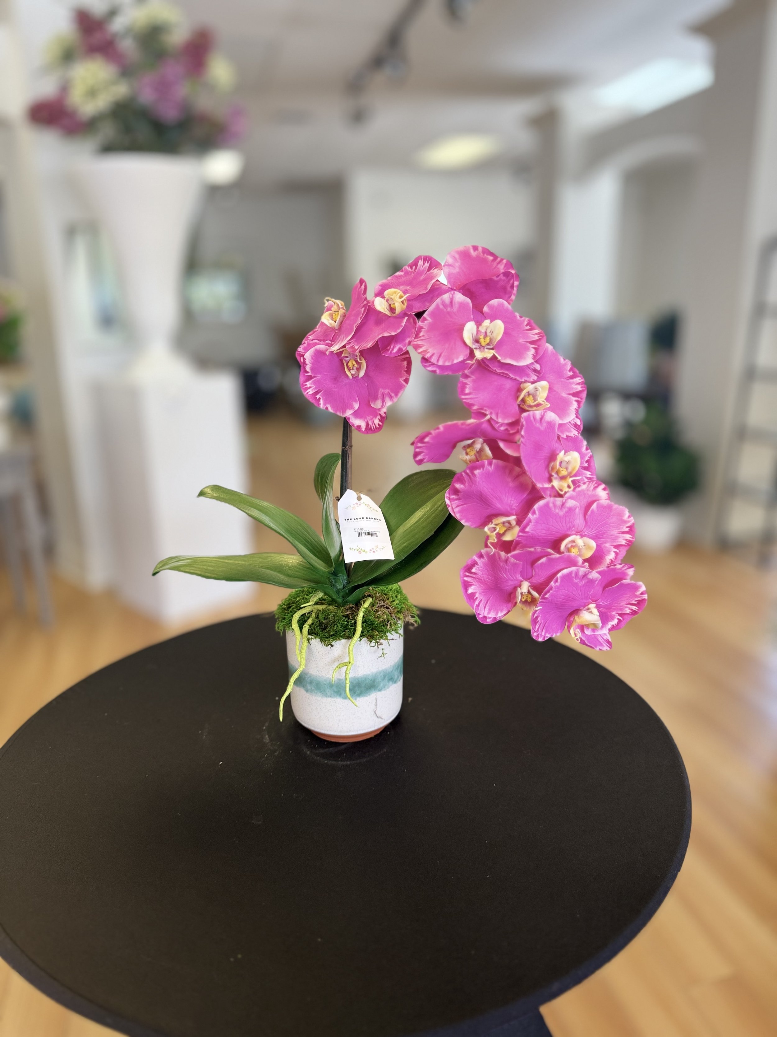 3035 9.25 Orchid Arrangement