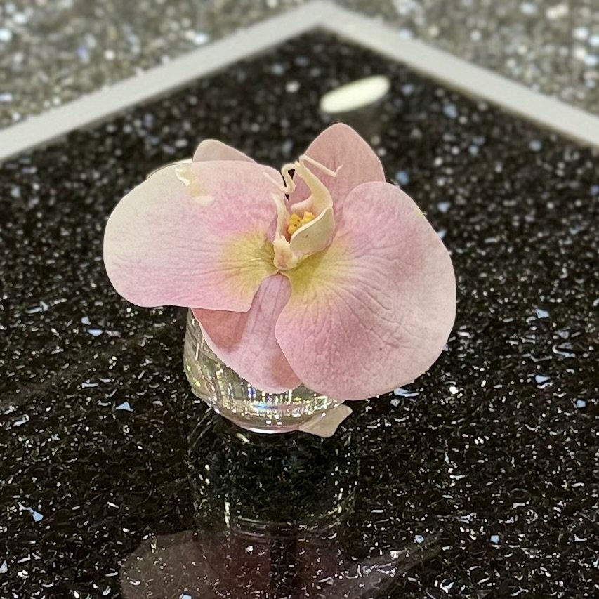 Artificial Orchid in Water-Look Glass Container