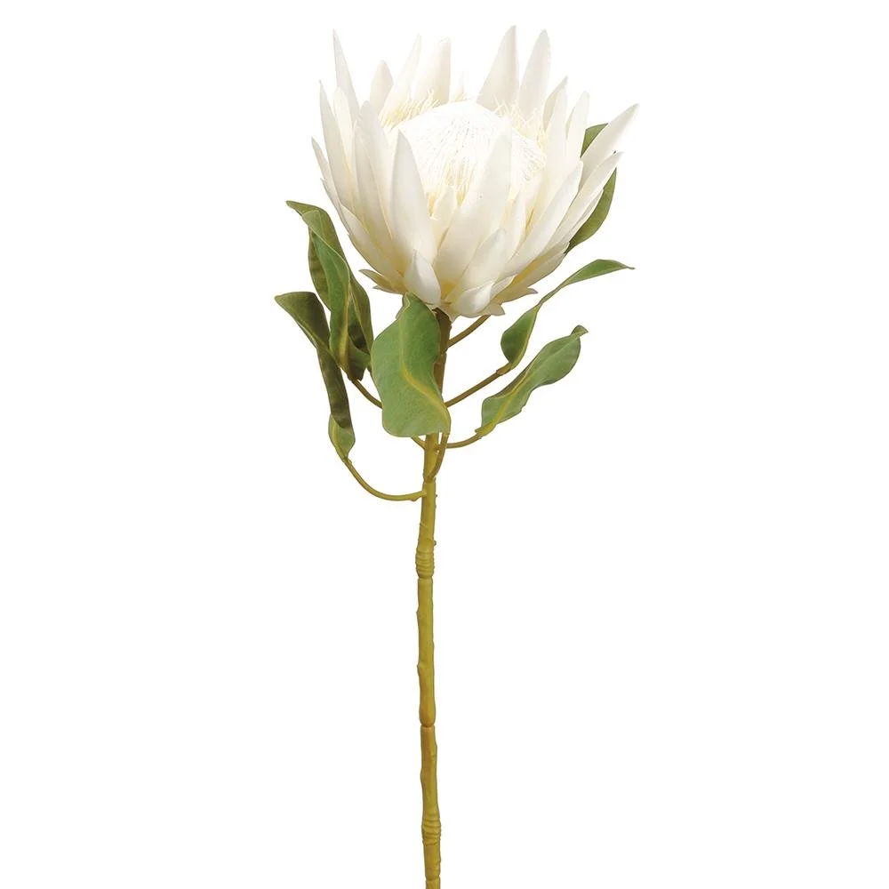 FSP440-CR 29” King Protea Spray - Cream