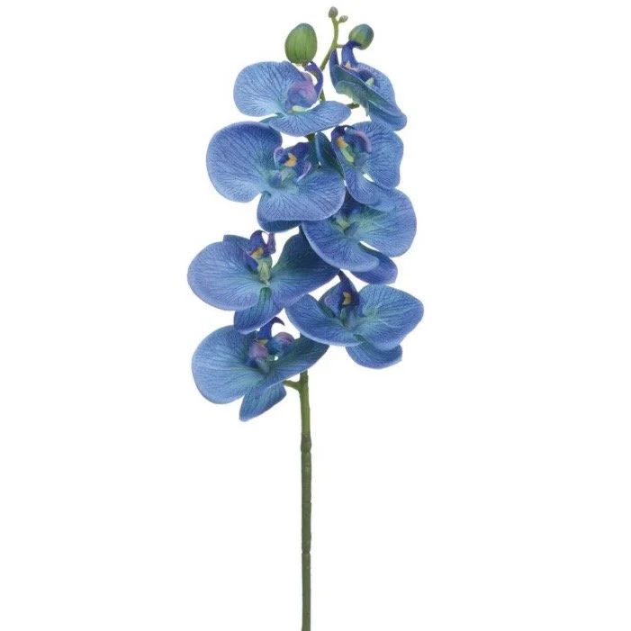 FSO121.DL 28" Phalaenopsis Orchid Spray